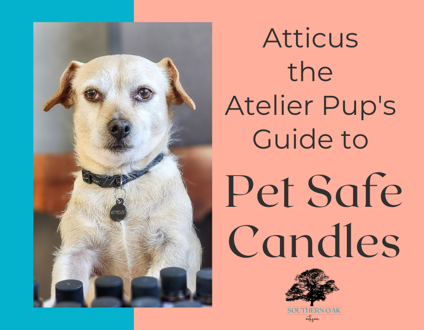 pet safe candles