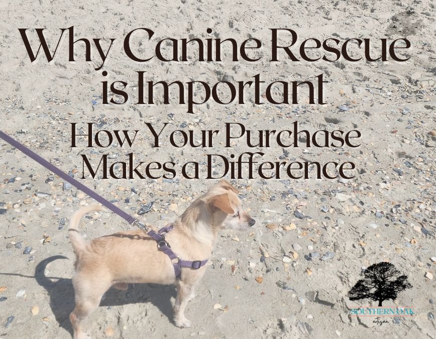 canine rescue