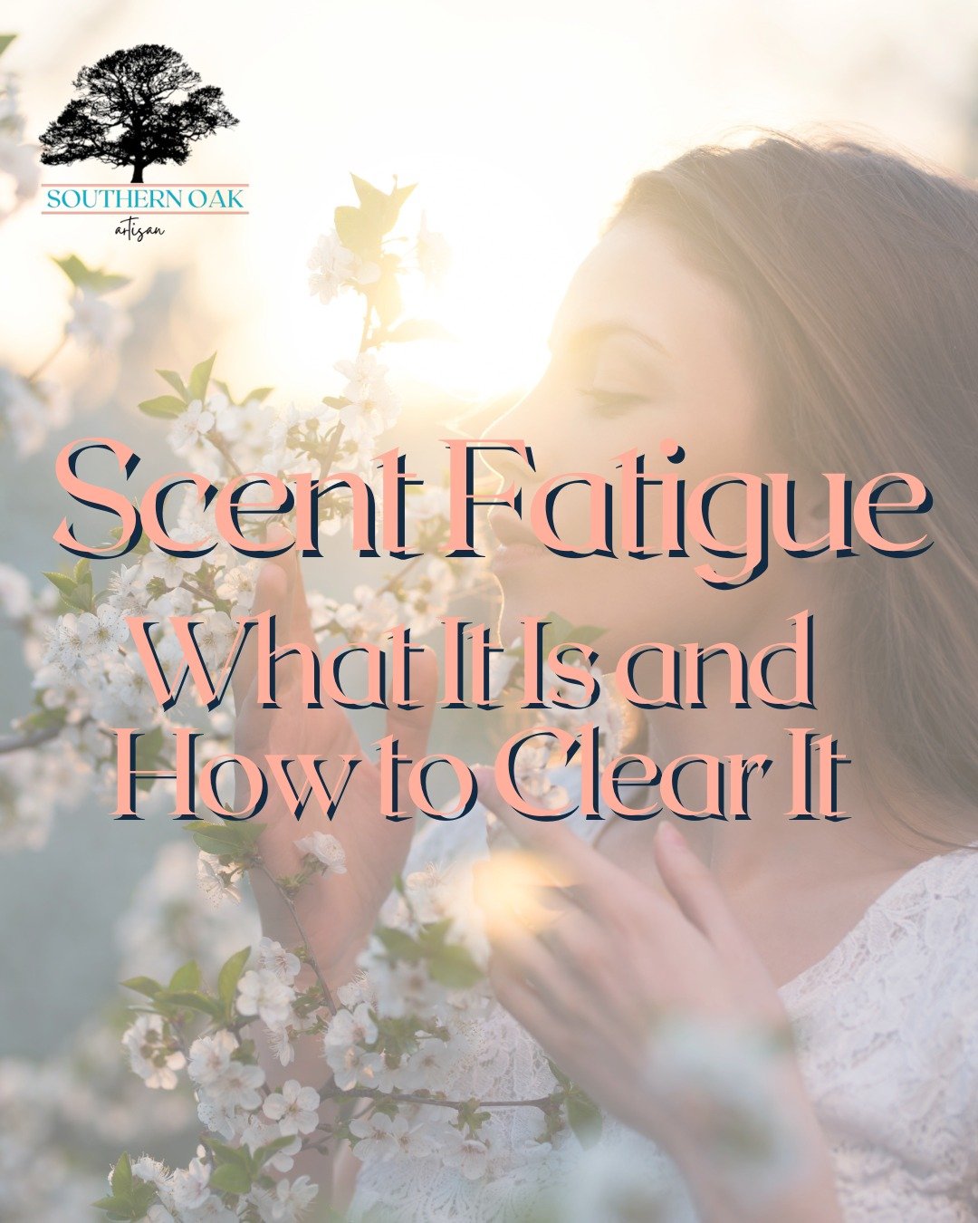 Ever lit a candle, loved it at first… and then it felt like the scent just vanished? That’s scent fatigue, and it’s not your candle’s fault.Ever lit a candle, loved it at first… and then it felt like the scent just vanished? That's scent fatigue, and it's not your candle's fault.⬇️Ever lit a candle, loved it at first… and then it felt like the scent just vanished? That’s scent fatigue, and it’s not your candle's fault.