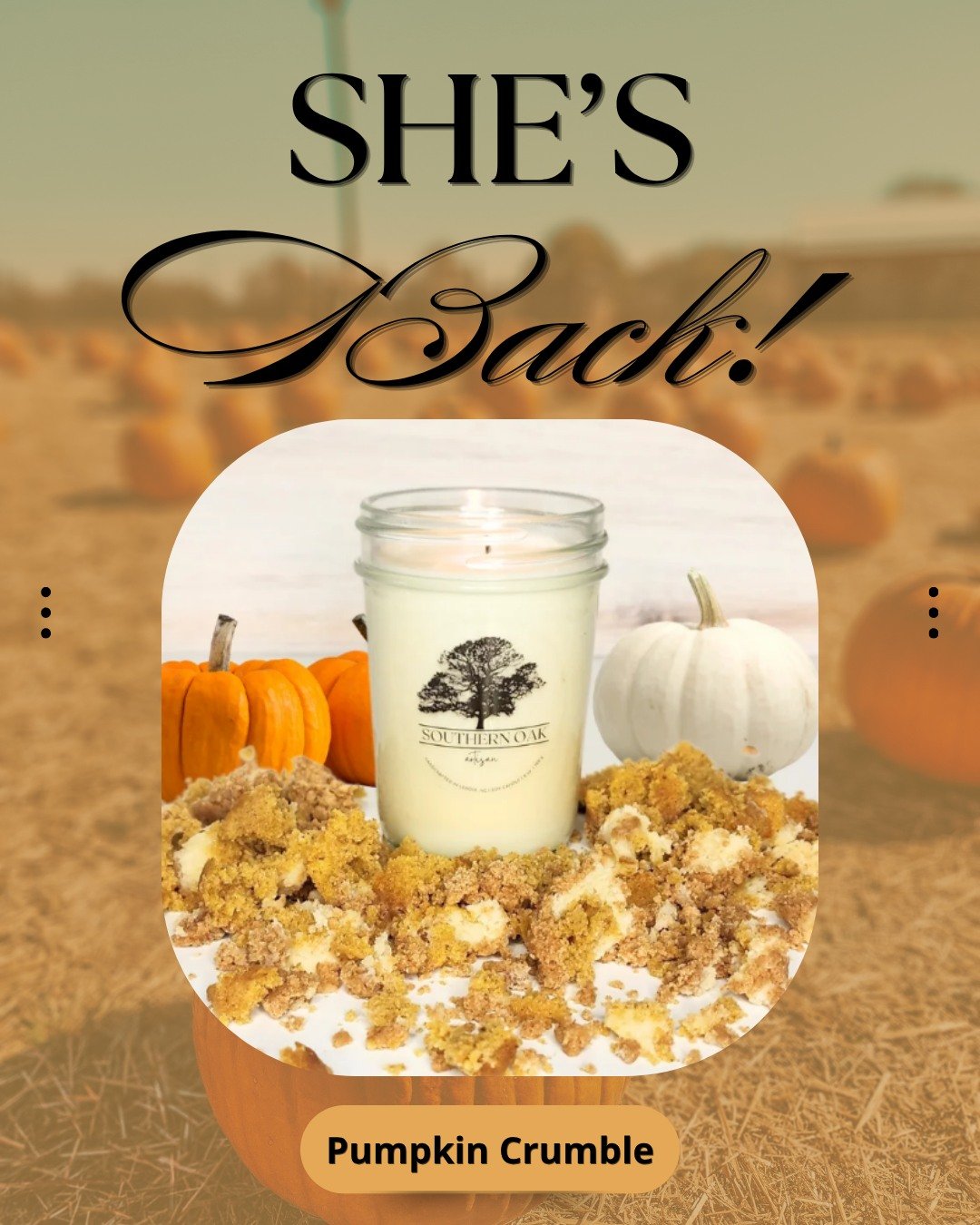 SHE’S BACK. 🎃🤎The wait is over. Pumpkin Crumble is officially back at Southern Oak Artisan!Warm pumpkin, cozy spices, and that sweet, baked-good goodness that makes your whole house smell like you’ve been VERY productive in the kitchen. 😉And yes, we know it’s August.But apparently August 19 is when pumpkin season begins now, and who are we to argue?🔥 Pumpkin Crumble is available NOW.Welcome back, old friend. We missed you.Shop now at the link in bio!