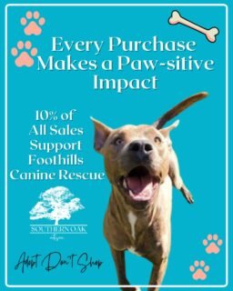 A cozy home should help another dog find one. 🐾This #NationalDogDay, we’re celebrating the dogs already curled up safely beside their people—and remembering every dog still waiting to be chosen.Our love for dogs is woven into Southern Oak Artisan. That’s why we donate 10% of our sales to Foothills Canine Rescue, helping support the care and rescue work that gives dogs a chance at the lives they deserve.When you purchase one of our hand-poured candles, you’re supporting a small business while also helping dogs in need. We cannot think of a better reason to keep pouring. ❤️Today and every day, please consider adopting, fostering, volunteering, donating, or sharing an adoptable dog. Every effort matters.Happy National Dog Day from Southern Oak Artisan! 🕯️🐶#FoothillsCanineRescue #RescueDogs #AdoptDontShop #CandlesForACause