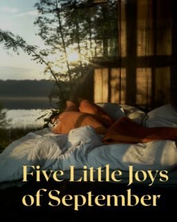 September has always felt a little different.Not because it's suddenly fall...But because life slows down just enough to notice the little things.🍃 Opening the windows.🛍️ Saturday mornings at the farmers market.🌅 Earlier sunsets.🕯️ Lighting a candle a little earlier in the evening.🥣 Knowing soup season is almost here.These are the moments we'll remember long after the season has passed.What's one little thing you love about September? We'd love to hear it in the comments. 🍎#September #SimpleLiving #SouthernOakArtisan #SoyCandles #HandPouredCandles #SmallBusiness #MadeInNC #CozyHome #SeptemberVibes #SlowLiving #LittleThings #HomeFragrance