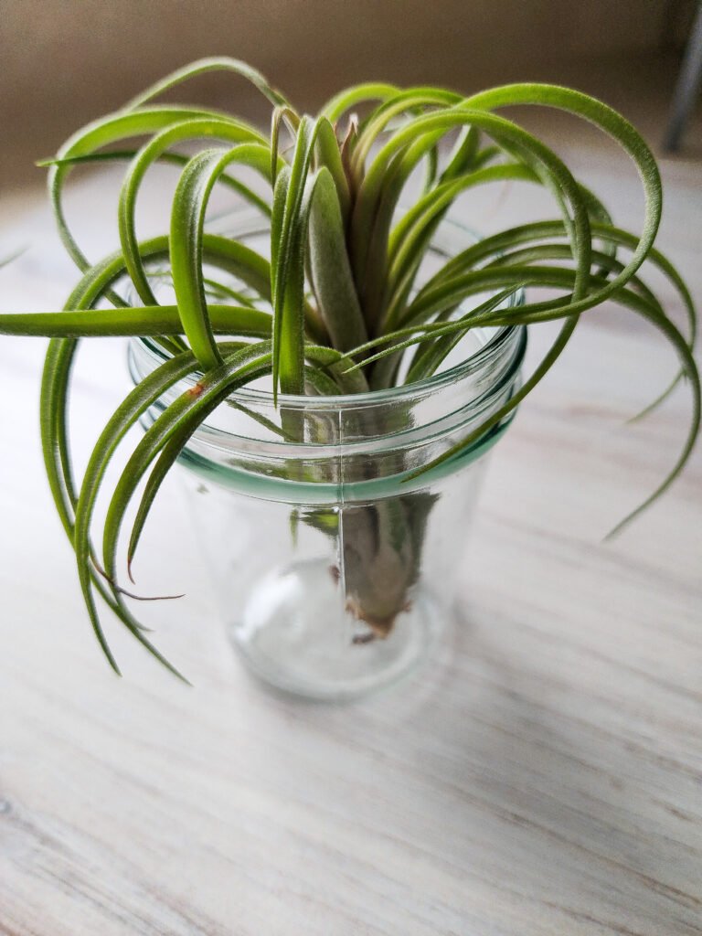 reuse candle jar